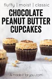 Chocolate Peanut Butter Cupcakes Ai Made It For You Recipe Chocolate Peanut Butter Cupcakes Best Dessert Recipes Cupcake Recipes