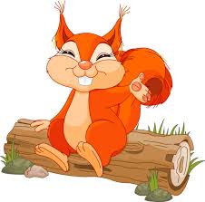 Ecureuils Cute Squirrel Squirrel Illustration Cartoon Drawings