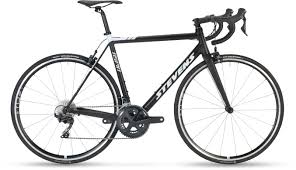 These dogs do not have specific ancestors that contributed to what they look like today. Aspin Stevens Bikes 2020