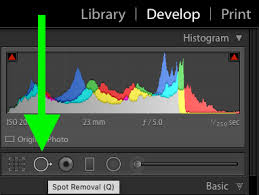 Lightroom's spot removal tool is very similar to the clone stamp and healing brush. Fixing Your Photos With The Lightroom Spot Removal Tool