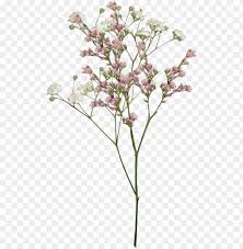 Choose from 540+ bunga graphic resources and download in the form of png, eps, ai or psd. Aesthetic Flower Png Vintage Aesthetic Flower Flower Png Images Vintage Png Transparent Flowers