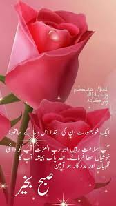If you are a muslim, then you should keep a habit to learn all the necessary and essential duas. Sign In Good Morning Flowers Good Morning Flowers Gif Beautiful Morning Messages
