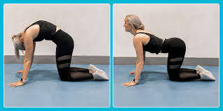 نتیجه جستجوی لغت [mobility] در گوگل