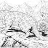 The free coloring sheets can be used by educators or simply by children who love leopards. Https Encrypted Tbn0 Gstatic Com Images Q Tbn And9gcrezmjunects9h2shwlwblzpd6abvnv5clquzd47jlh9ltidiry Usqp Cau
