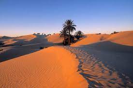 filipe moura on twitter desert pictures desert travel desert background