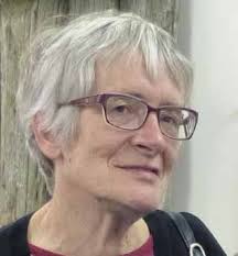 THE VILLAGE OF HALL & DISTRICT PROGRESS ASSOCIATION