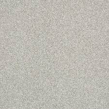 We did not find results for: Stainmaster Essentials Splash Guard Ii Dew Textured Carpet Sample Interior Lowes Com In 2021 Textured Carpet Stainmaster Carpet Samples