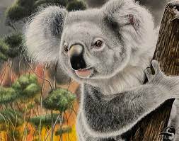 General knowledge for kids pdf. 15 Year Old Named Winner Of World Wildlife Day 2020 International Youth Art Contest