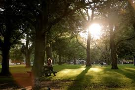 Some people are blaming the city for not putting. Toronto Parks Trinity Bellwoods Park