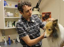 Services range from wellness and routine examinations to diagnostics and treatment on both an. Winters Chapel Animal Hospital