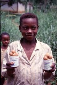 Image result for Coula edulis