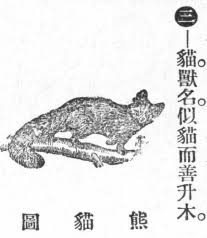 Therefore, you can use the ff special name generator. Red Panda Wikipedia