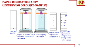 Paper Chromatography Radial Paper Chromatography Principle Procedure Visualization Application Youtube