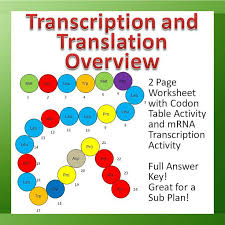 The newly synthesized mrna will leave the nucleus and be converted into a protein during a process called. Homework Which Enzyme Catalyzes Transcription And Which Translation Biology Stack Exchange