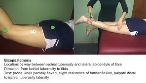 surface emg a how to guide for practitioners lower