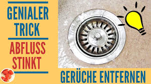 Genialer Trick Abfluss Stinkt Mit Diesen Hausmitteln Den Abfluss Reinigen 3 Bonustipps Youtube
