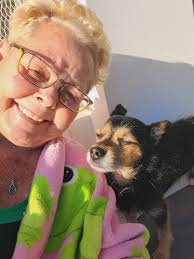 Hello to Zeus the Christmas puppy