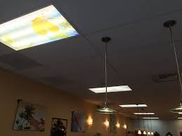 Maybe you would like to learn more about one of these? Decorative Fluorescent Light Covers Diy Novocom Top