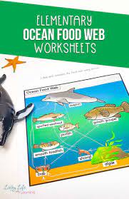 Ocean Food Web Worksheets Ocean Food Web Science Activities For Kids Printable Activities For Kids
