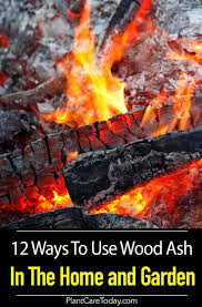 12 Ways To Use Wood Ash In The Home And Garden In 2020 Ash Wood Lawn Fertilizer Garden