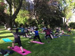 We did not find results for: City Of Hobart Always Wanted To Try Yoga Our 2018 19 Facebook