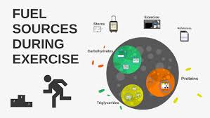 Fat is the dominant energy source at low aerobic . Fuel Sources During Exercise By Helen Norris