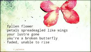 Broken Butterfly Tanka C Joylenton Poetryjoy Butterfly Flower Tanka Micropoetry Poetryjoy Poetsonpinterest In 2021 Haiku Poems Tanka You Poem
