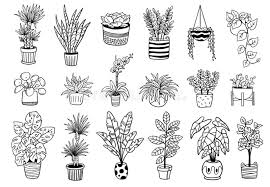 Set Of Cute Indoor And Outdoor Plants In Pots Royalty Free Illustration In 2020 Plant Sketches Black And White Stickers Plant Drawing