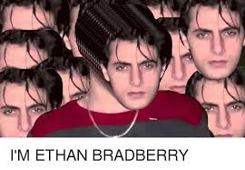 15 Top Ethan Bradberry Meme Images And Jokes Quotesbae