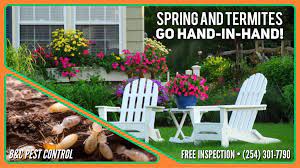 Voted winner of the locals love us — no. B And C Pest Control Home Facebook