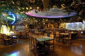 cafe ve restoran dekorasyonu nasil yapilir homify bar ic tasarimi dekorasyon restoran