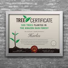 I would have liked to see confirmation of the 8 trees i paid for were actually planted. Tree Planting Certificate Postcard Flyer Or Print Contest 99designs