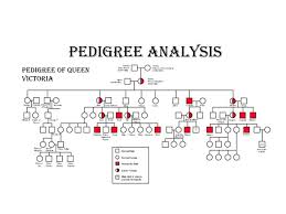 ppt pedigree analysis powerpoint presentation free