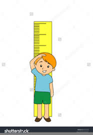 Height Chart Clipart Free Images At Clker Com Vector