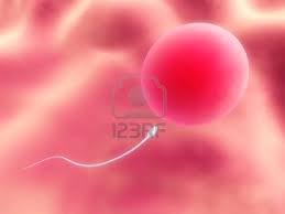 Is hair surgery haram or halal? Is Sperm Donation To Infertile Relative Allowed In Islam Islamicanswers Com Islamic Advice