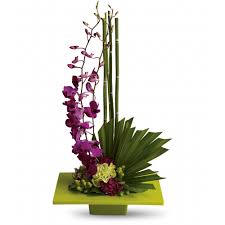 Check spelling or type a new query. Zen Artistry In San Diego Ca Liz S Flowers