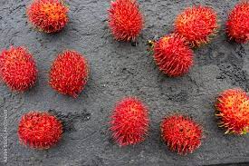 Daun rambutan ternyata memiliki banyak manfaat dan khasiat salah satunya adalah untuk meningkatkan gairah seksualitas untuk pria dan juga wanita. 26 Best Rambutan Gula Batu Images Stock Photos Vectors Adobe Stock
