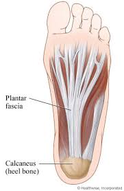 — mckenzie sadeghi, usa today, 2 july 2021 plantar fasciitis is one of the most. Plantar Fasciitis Uk Healthcare