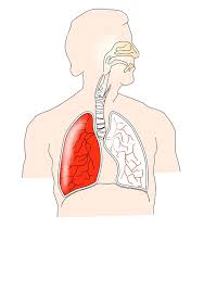 Quand Vos Poumons Sont Encombres De Mucus C Est Le Meilleur Remede Cuisine Le Bonheur Mr Motivateur Magnesium Deficiency Asthma Magnesium