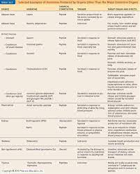 Endocrine System Chart Human Hormones Endocrine System Hormones Endocrine System Endocrine