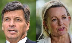 The collapse of a party: what's next for the Liberal Party?