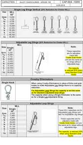 Single Leg Vertical Slings Alloy Steel Chain Slings