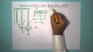Vertical Oscillations Of A Spring Mass System Youtube