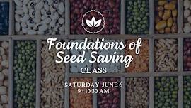 Foundations of Seed Saving