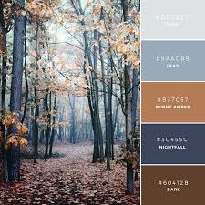 Build Your Brand 20 Unique Color Combinations To Inspire