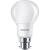 Study Table Lamp