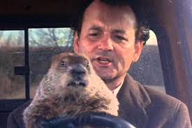 Search lesson plans for movies: Is Groundhog Day The Film On Tv Today And Where Can You Watch It Metro News