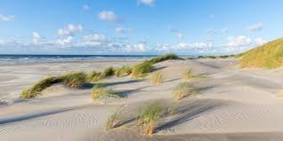 Ferienhaus de wielen haus 21. Urlaub Im Strandhaus In Holland 5 Tage Direkt Am Meer Schon Fur 76