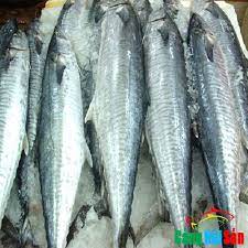 Học những bài học cờ vua. Ca Thu TÆ°Æ¡i Nguyen Con Háº£i Sáº£n TÆ°Æ¡i Sá»'ng Trong Ngay