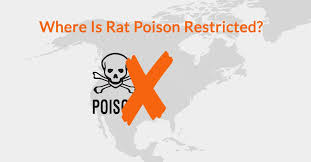 Image result for ratpoison